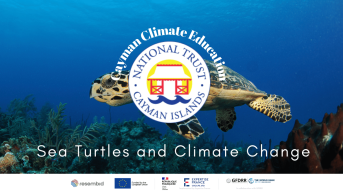 Sea Turtles and Climate Change